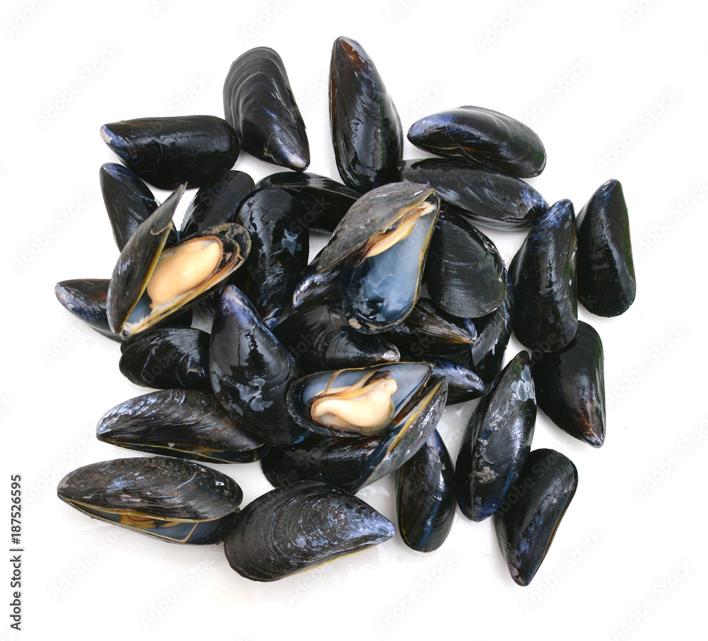 group of boiled mussels in shells isolated on white background group of boiled mussels in shells isolated on white background