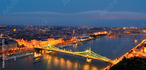Liberty bridge in Budapest, night view