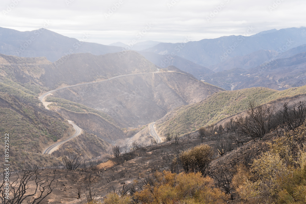 Landscape damaged by the Thomas Fire along Highway 33 in Ojai, California Landscape damaged by the Thomas Fire along Highway 33 in Ojai, California