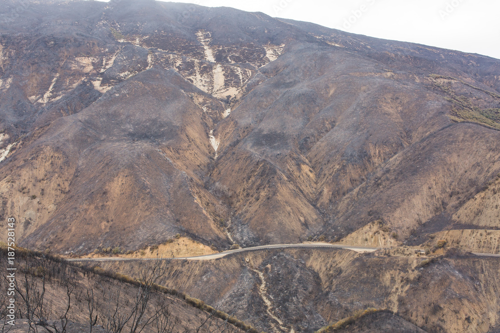 Landscape damaged by the Thomas Fire along Highway 33 in Ojai, California