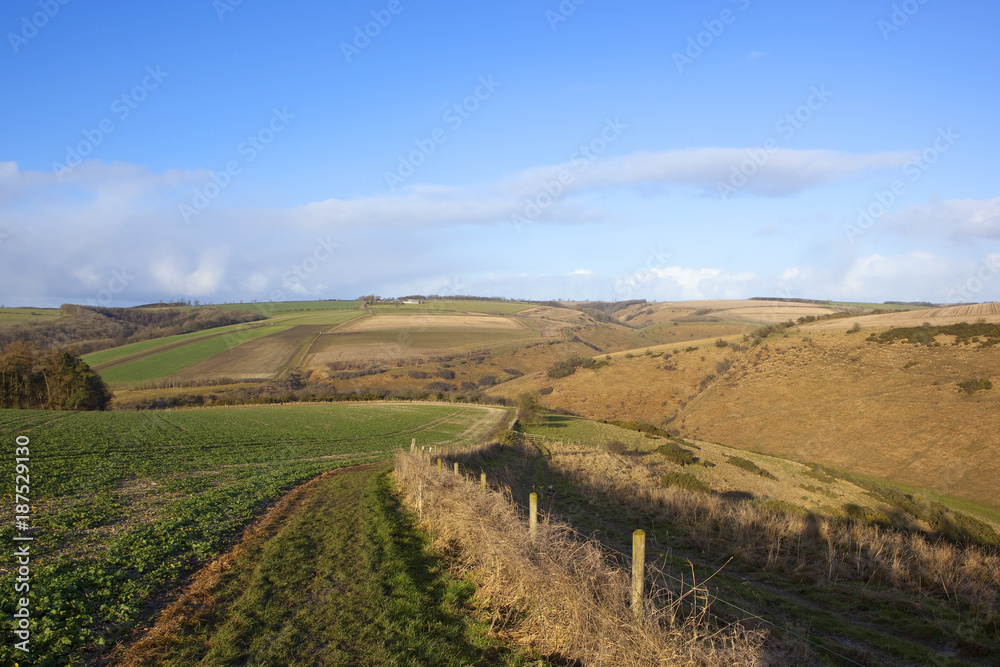yorkshire wolds bridleway