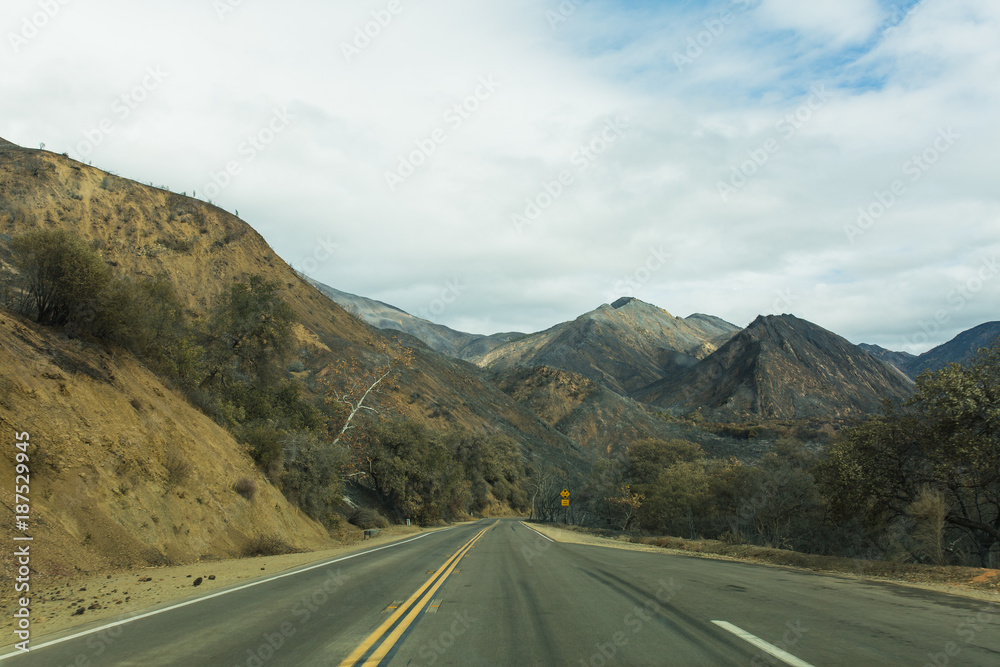 Fototapeta premium Landscape damaged by the Thomas Fire along Highway 33 in Ojai, California