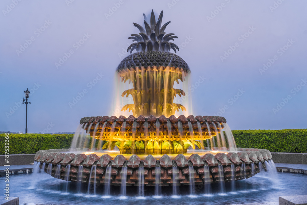 Obraz premium Waterfront Park Cooper River in Charleston, SC, USA