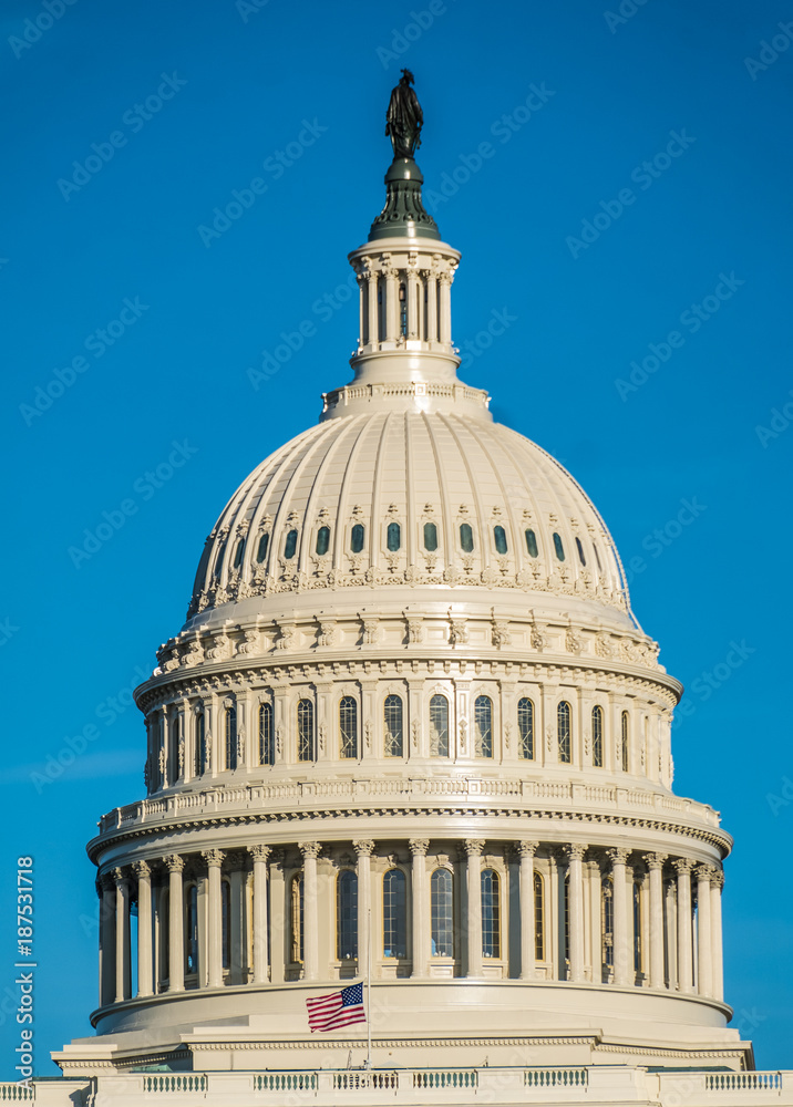 The United States Capitol, Washington DC