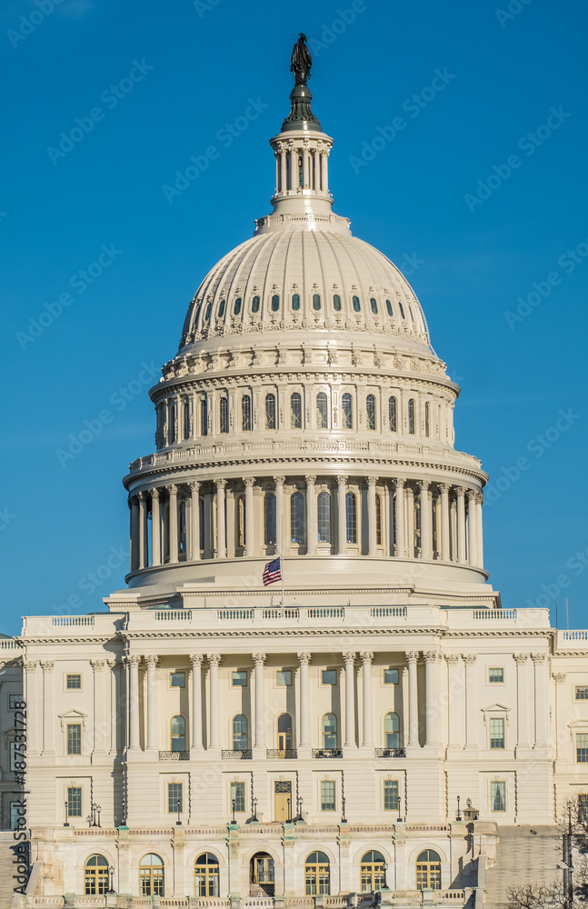 The United States Capitol, Washington DC