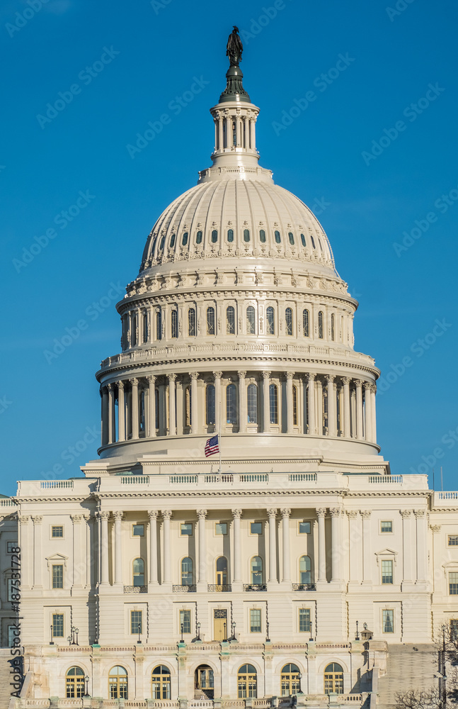 Obraz premium The United States Capitol, Washington DC