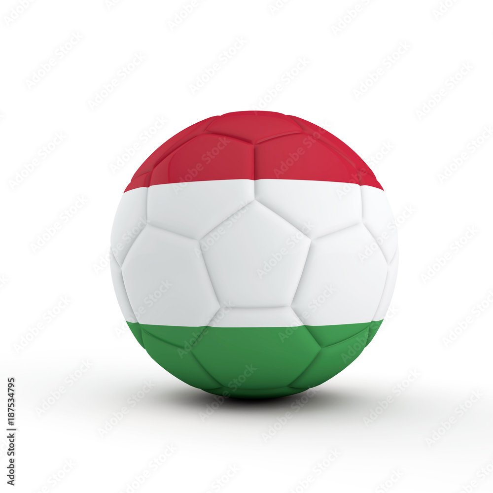 Hingary flag soccer football against a plain white background. 3D Rendering Hingary flag soccer football against a plain white background. 3D Rendering