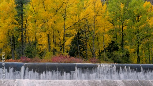 Amazing colors of the fall. Autumn forest on the riverside. Wenatchee River. Leavenworth, Central cascades, WA, USA. Landscape video. Nature video. 4K, 3840*2160, high bit rate, UHD