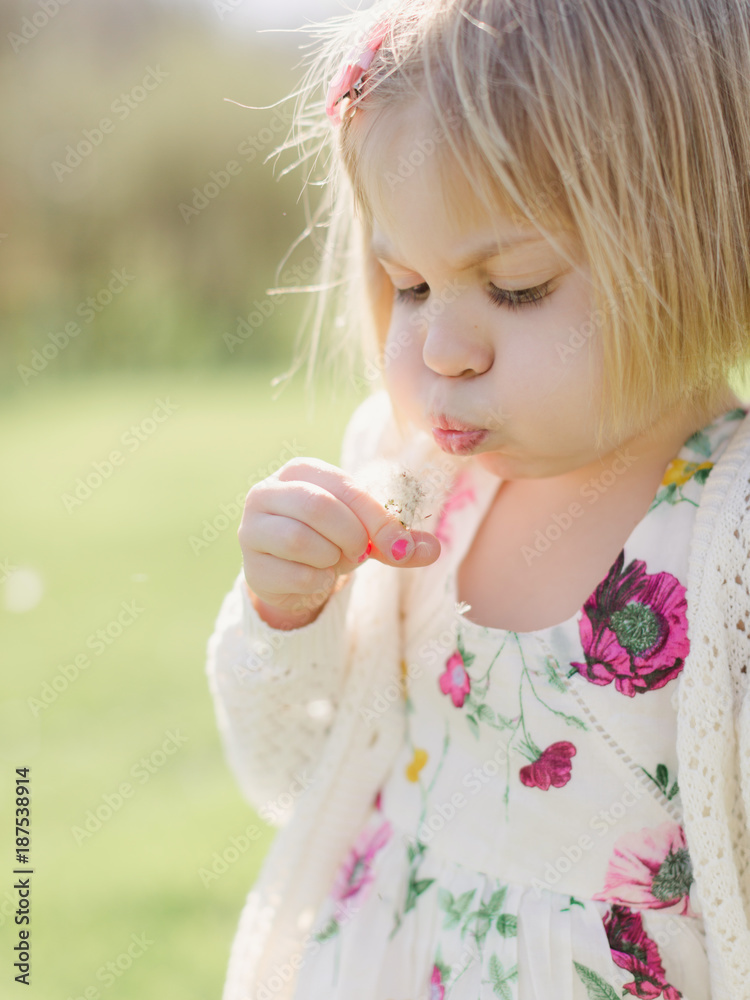 Little girl blowing a dandelion Little girl blowing a dandelion