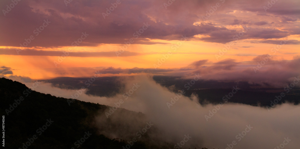 Fototapeta premium Morning Surprise