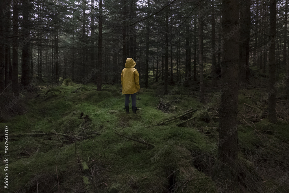 Girl in middle of woodlands in the highlands Girl in middle of woodlands in the highlands