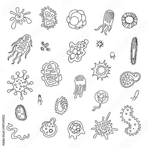 Infection bacteria and pandemic virus vector biology hand draw icons. Illustration of bacteria and microbe organism allergen on white background