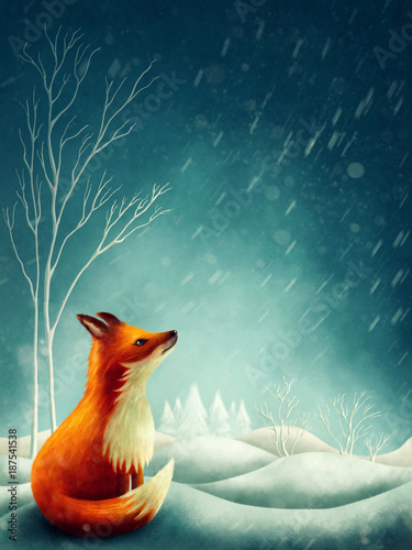 Little red fox in winter