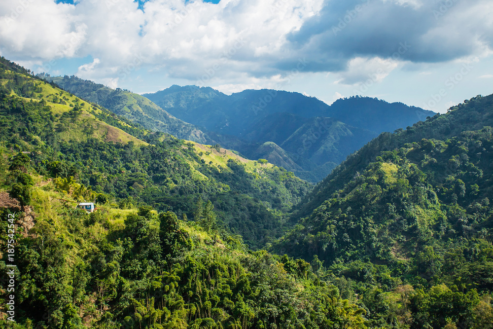 Fototapeta premium Blue mountains of Jamaica where coffee is grown