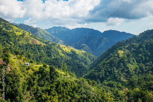 Murais de parede Blue mountains of Jamaica where coffee is grown