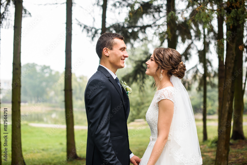 Handsome wedding couple Handsome wedding couple