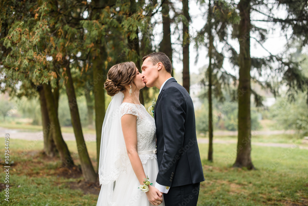Beautifull wedding couple kissing and embracing outdoor. One beautiful wedding day