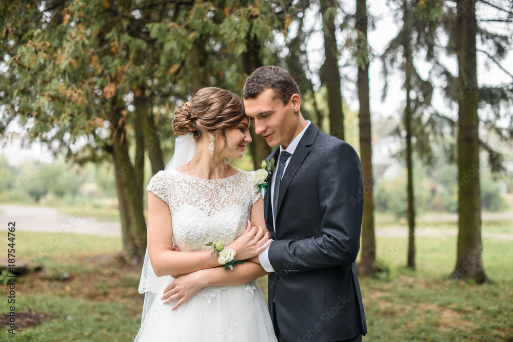 Beautifull wedding couple kissing and embracing outdoor. One beautiful wedding day