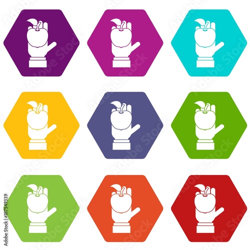 Apple in hand icon set color hexahedron