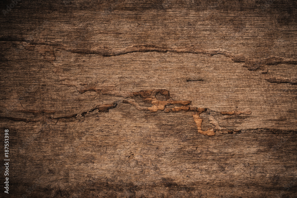 Fototapeta premium Wood decay with wood termites,Old grunge dark textured wooden background,The surface of the old brown wood texture