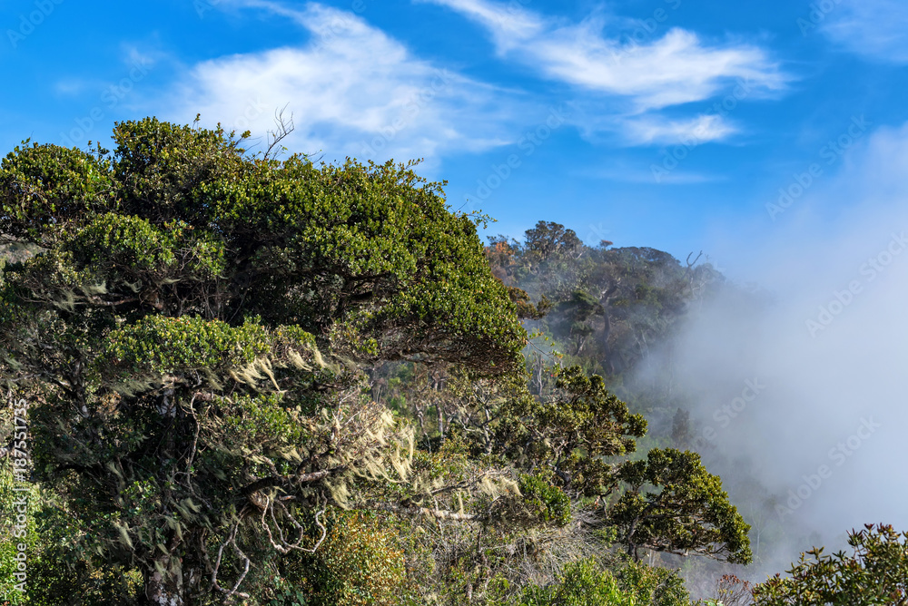 Scenic view in Horton Plains, Sri Lanka Scenic view in Horton Plains, Sri Lanka