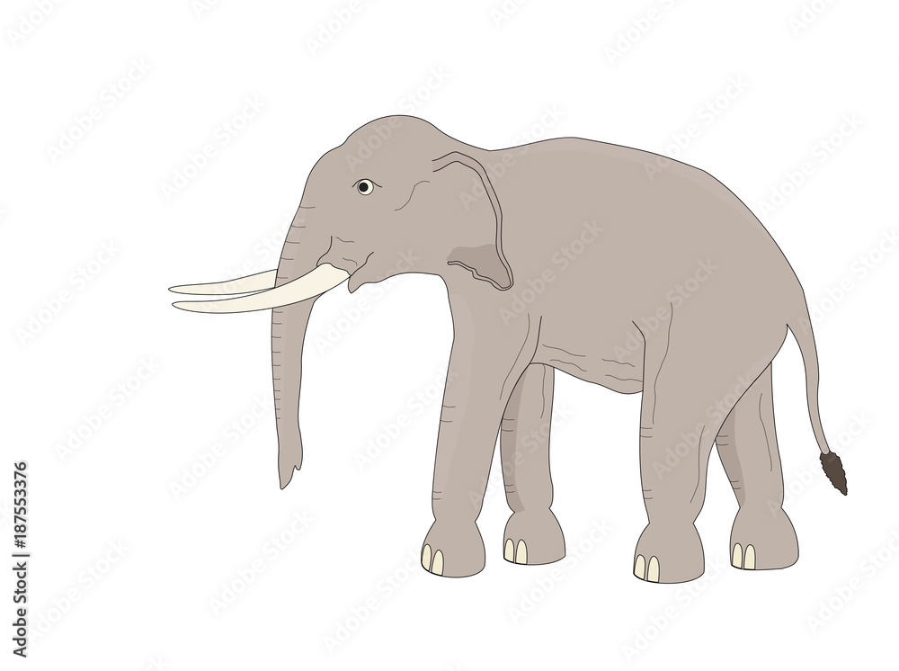 Fototapeta premium Asia elephant is walk, illustrations cartoon