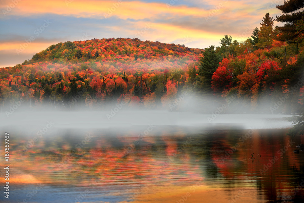 Obraz premium Morning fog in rural Vermont in autumn time