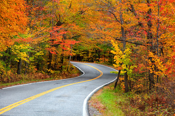 Wandcirkels Herfst Landweg door herfstig Vermont  © SNEHIT PHOTO