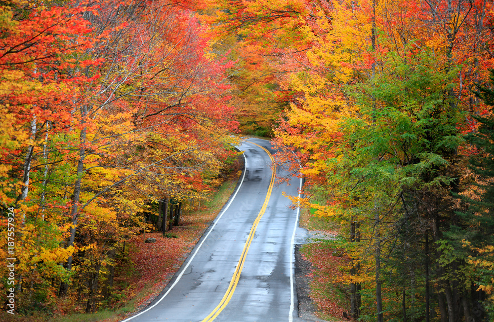 Obraz premium Scenic drive through New England country side