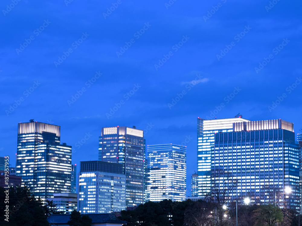 Obraz premium 丸の内の高層ビル