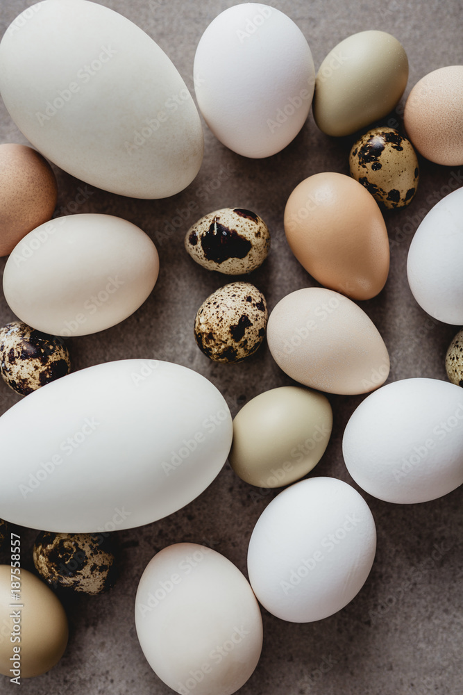 Eggs