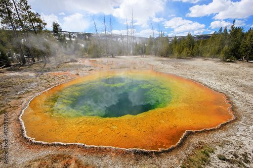 The famous Morning Glory Pool in Yellowstone National Park, Wyoming, USA
