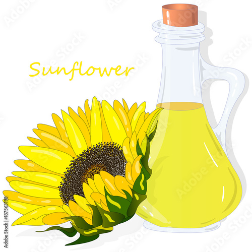 Sunflower oil bottle isolated on white illustration