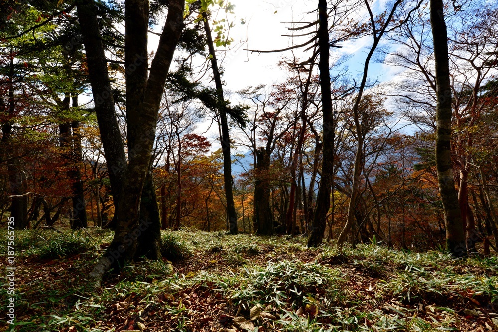 Naklejka premium 日本の山の夕景と光線