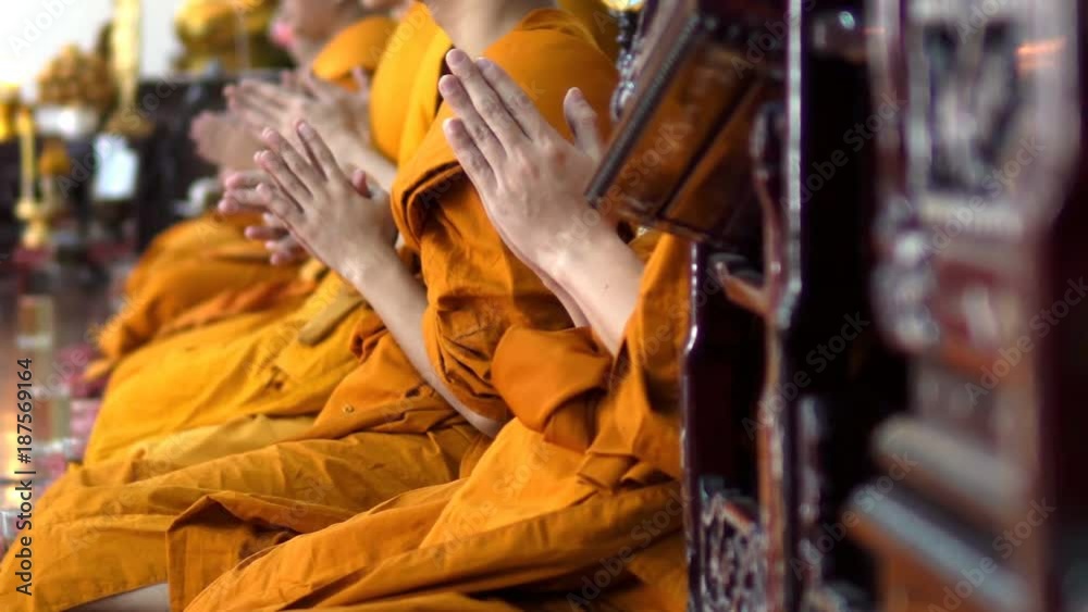 Many monks are sitting side by side and chanting
