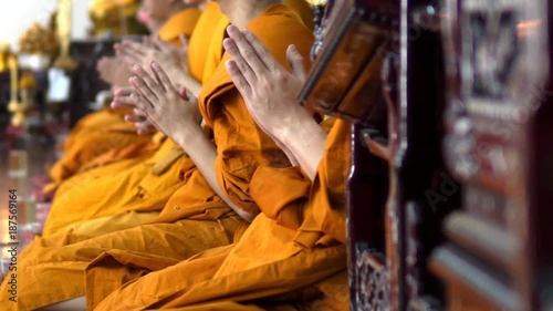 Many monks are sitting side by side and chanting