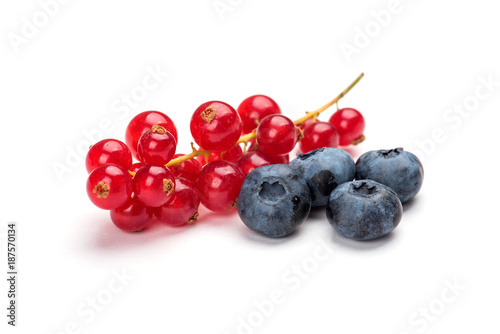 Red currant and blueberries on white background.