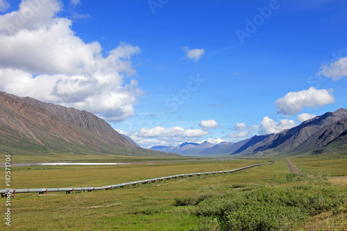 View of Dalton Highway with oil pipeline, leading from Valdez, Fairbanks to Prudhoe Bay, northern Alaska, USA