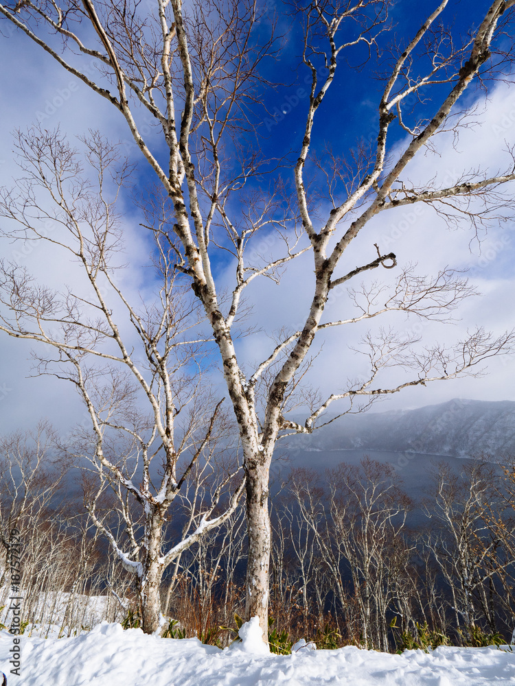 Obraz premium 冬の摩周湖