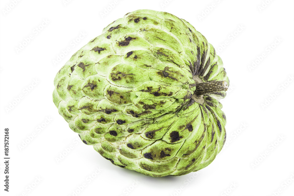 Fresh Custard Apple or Ripe Sugar Apple Fruit ( Annona, sweetsop) Isolated on white background on with clipping path / well-branched tree or shrub that bears edible fruits healthy eating / thai fruit Fresh Custard Apple or Ripe Sugar Apple Fruit ( Annona, sweetsop) Isolated on white background on with clipping path / well-branched tree or shrub that bears edible fruits healthy eating / thai fruit