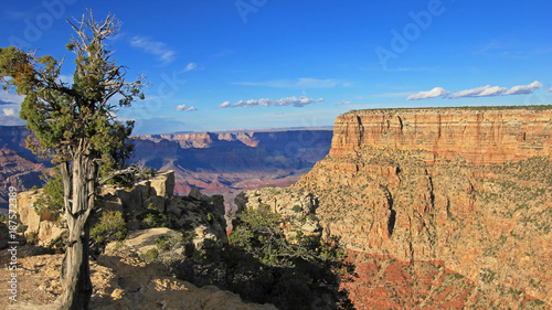 Panoramic view of Grand Canyon, Arizona, USA photo