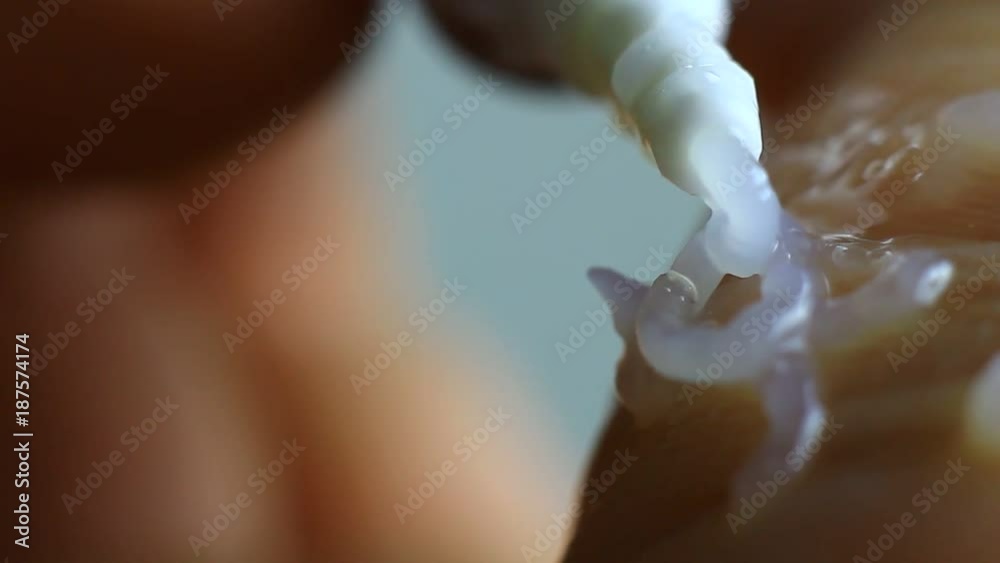 Applying medical ointment on a dried skin of palm hand. Studio isolated macro clip. Little shaky.