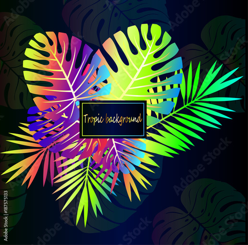 Neon tropical leaves, close-up on a beautiful dark gradient background. Tropi...