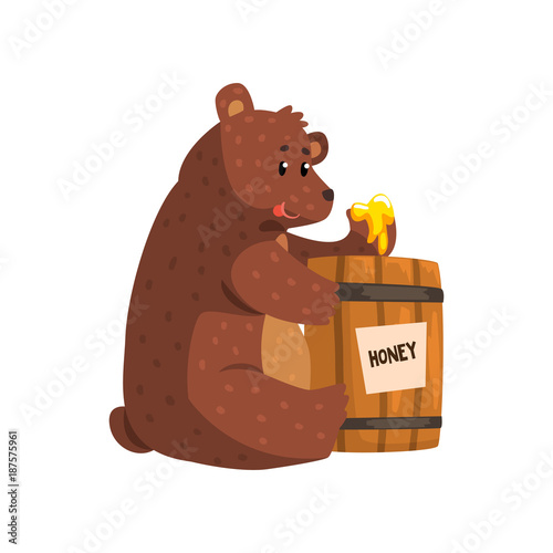 Funny brown bear eating honey from wooden barrel. Cartoon forest animal with short tail, small ears and shiny eyes. Flat vector for kids book, sticker or greeting card