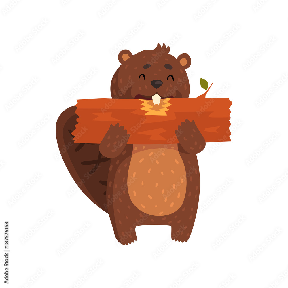 Happy little beaver eating piece of wood. Cartoon character of wild animal  with big teeth, brown fur, shaped tail, little ears. Forest rodent. Flat  vector design Stock Vector | Adobe Stock