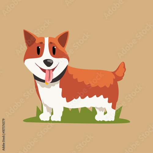 Funny red-haired welsh corgi standing on green grass. Cartoon dog with happy muzzle. Puppy with black collar. Domestic animal. Flat vector design