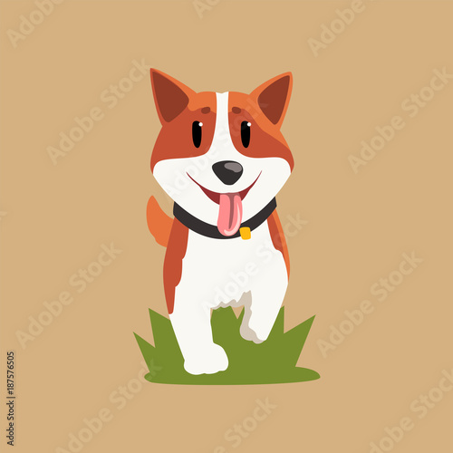 Adorable red-haired welsh corgi walking by green grass. Cartoon dog with happy muzzle. Purebred domestic animal. Flat vector design for postcard, sticker or print