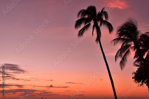 ハワイ 夕景の風景