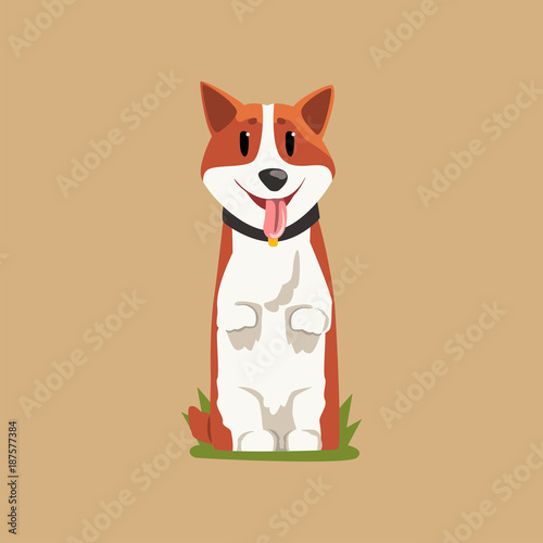 Joyful red-haired corgi standing on hind legs. Puppy with tongue hanging out. Cartoon domestic animal character with black collar. Human s best friend. Flat vector design