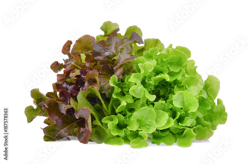 fresh red and green oak lettuce salad leaves isolated on white background